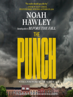 The_Punch